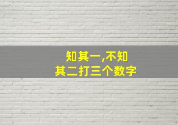 知其一,不知其二打三个数字