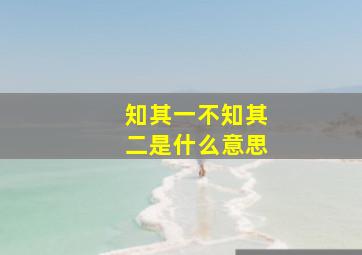 知其一不知其二是什么意思