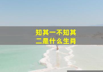 知其一不知其二是什么生肖