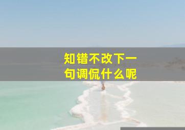 知错不改下一句调侃什么呢