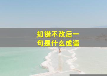 知错不改后一句是什么成语