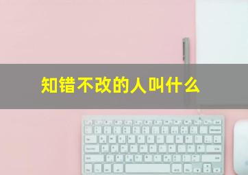 知错不改的人叫什么