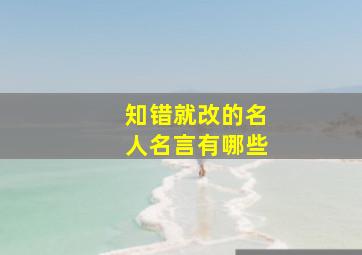 知错就改的名人名言有哪些