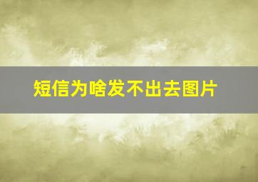 短信为啥发不出去图片