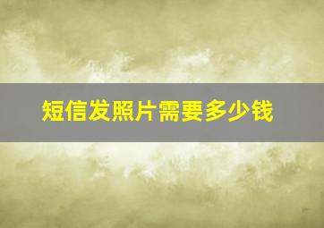 短信发照片需要多少钱