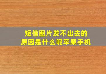 短信图片发不出去的原因是什么呢苹果手机