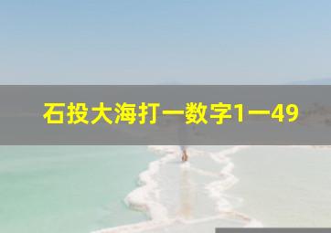 石投大海打一数字1一49