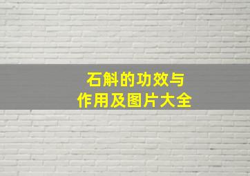 石斛的功效与作用及图片大全