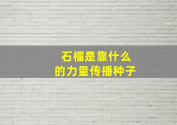 石榴是靠什么的力量传播种子