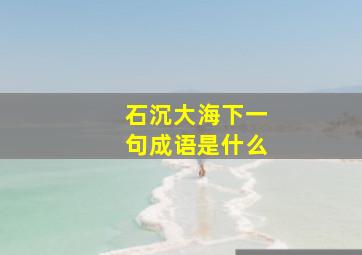 石沉大海下一句成语是什么