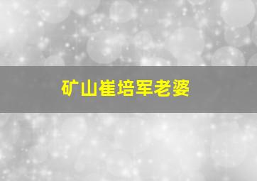 矿山崔培军老婆