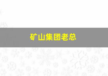 矿山集团老总