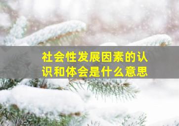 社会性发展因素的认识和体会是什么意思