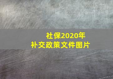 社保2020年补交政策文件图片