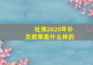 社保2020年补交政策是什么样的