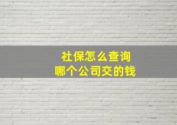 社保怎么查询哪个公司交的钱