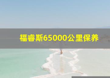 福睿斯65000公里保养