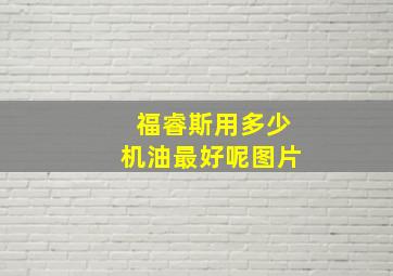 福睿斯用多少机油最好呢图片