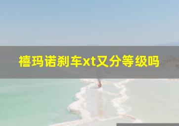 禧玛诺刹车xt又分等级吗