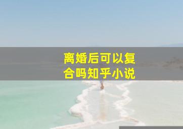 离婚后可以复合吗知乎小说