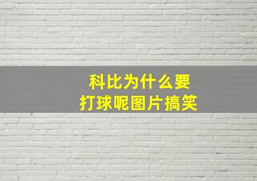 科比为什么要打球呢图片搞笑