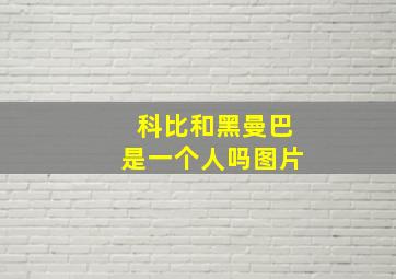 科比和黑曼巴是一个人吗图片