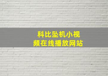 科比坠机小视频在线播放网站