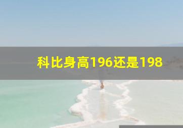 科比身高196还是198