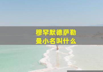 穆罕默德萨勒曼小名叫什么