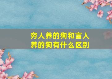 穷人养的狗和富人养的狗有什么区别