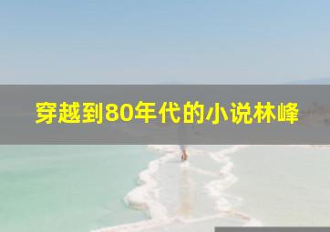 穿越到80年代的小说林峰