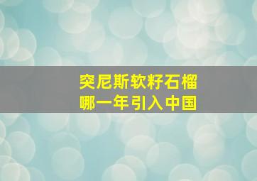 突尼斯软籽石榴哪一年引入中国