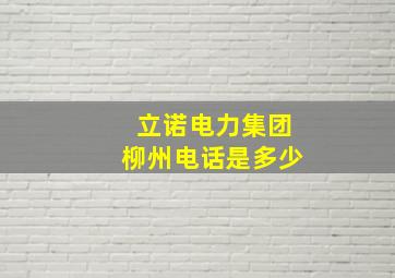 立诺电力集团柳州电话是多少