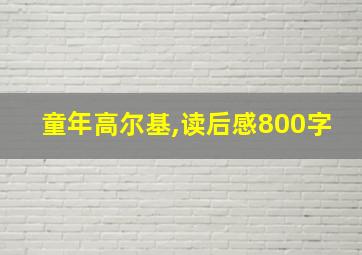 童年高尔基,读后感800字