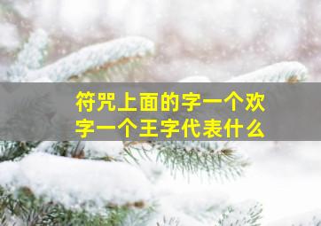 符咒上面的字一个欢字一个王字代表什么