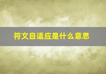 符文自适应是什么意思