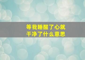 等我睡醒了心就干净了什么意思