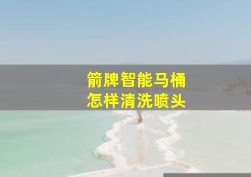 箭牌智能马桶怎样清洗喷头