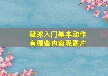 篮球入门基本动作有哪些内容呢图片