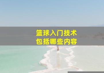 篮球入门技术包括哪些内容