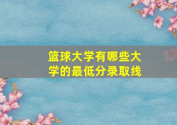 篮球大学有哪些大学的最低分录取线