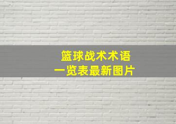 篮球战术术语一览表最新图片