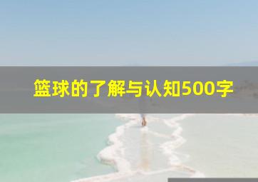 篮球的了解与认知500字