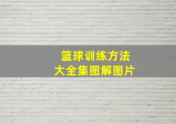 篮球训练方法大全集图解图片