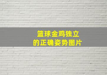 篮球金鸡独立的正确姿势图片