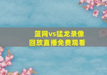 篮网vs猛龙录像回放直播免费观看