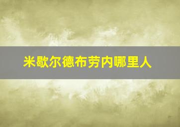 米歇尔德布劳内哪里人