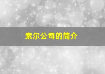 索尔公司的简介