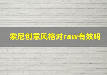 索尼创意风格对raw有效吗