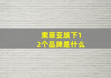 索菲亚旗下12个品牌是什么